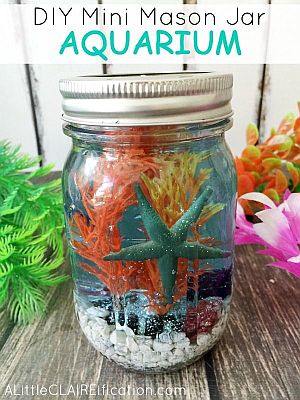 Mini aquarium in a jar